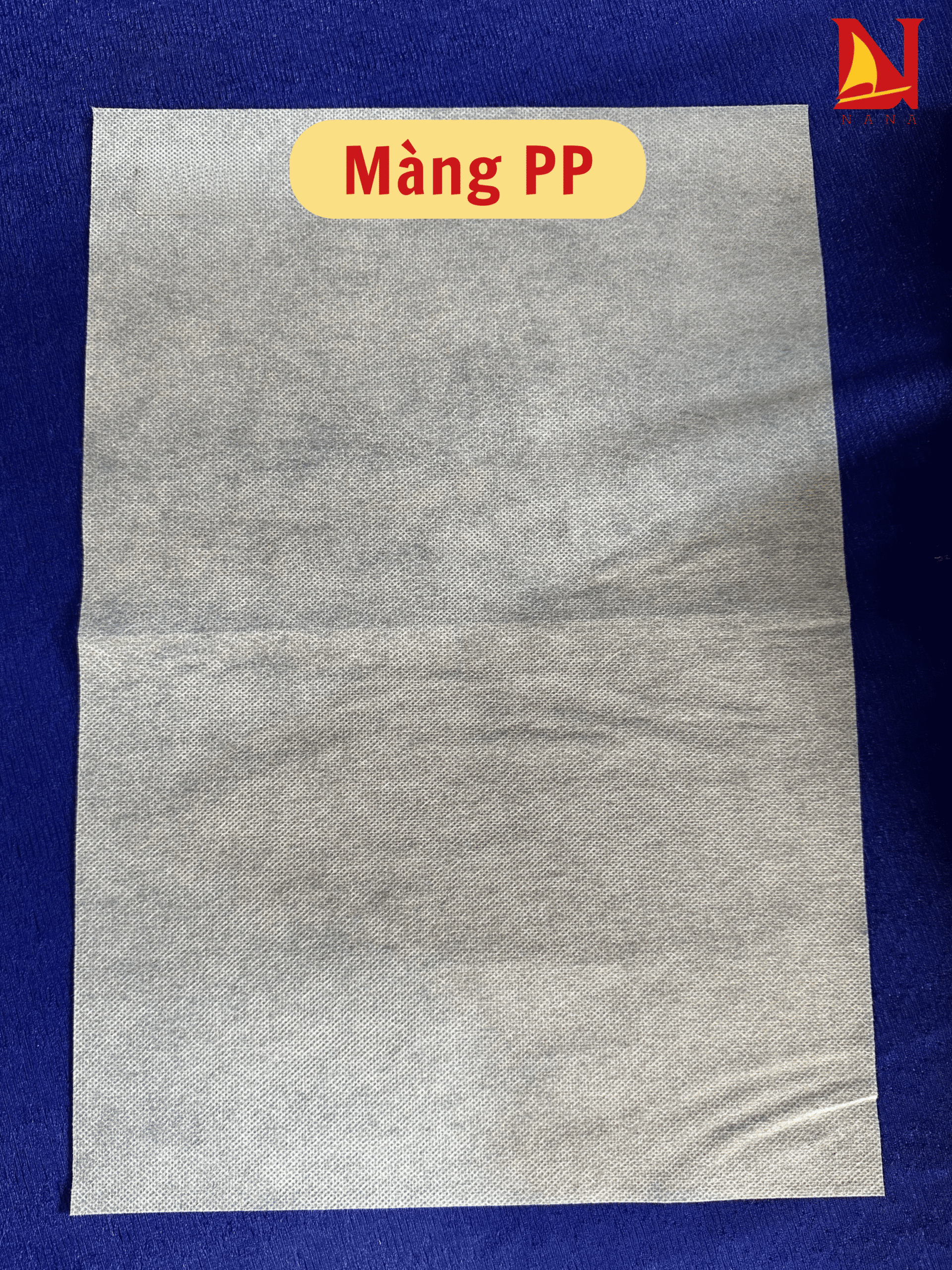 Màng PP